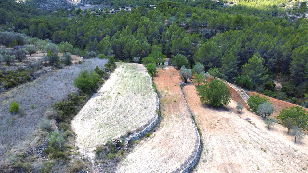 Finca project for sale Jalon the plot